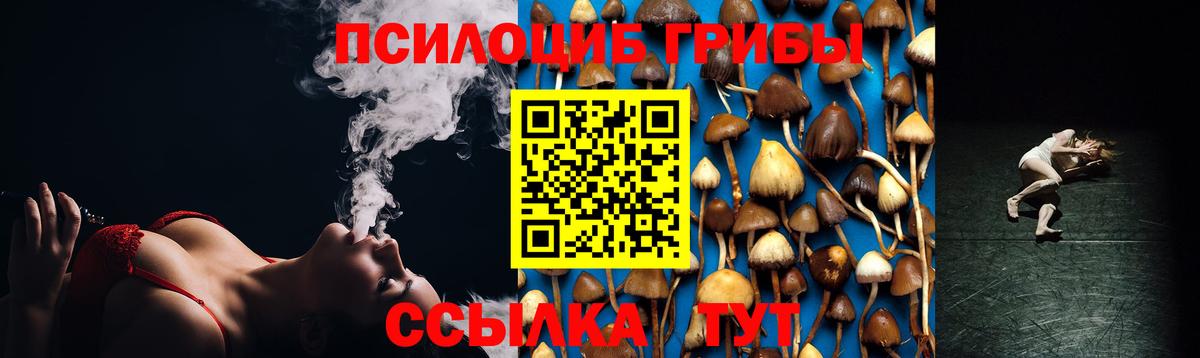 Псилоцибиновые грибы мицелий  Галлюциногенные грибы Magic Shrooms  Новозыбков  Вход с VPN 